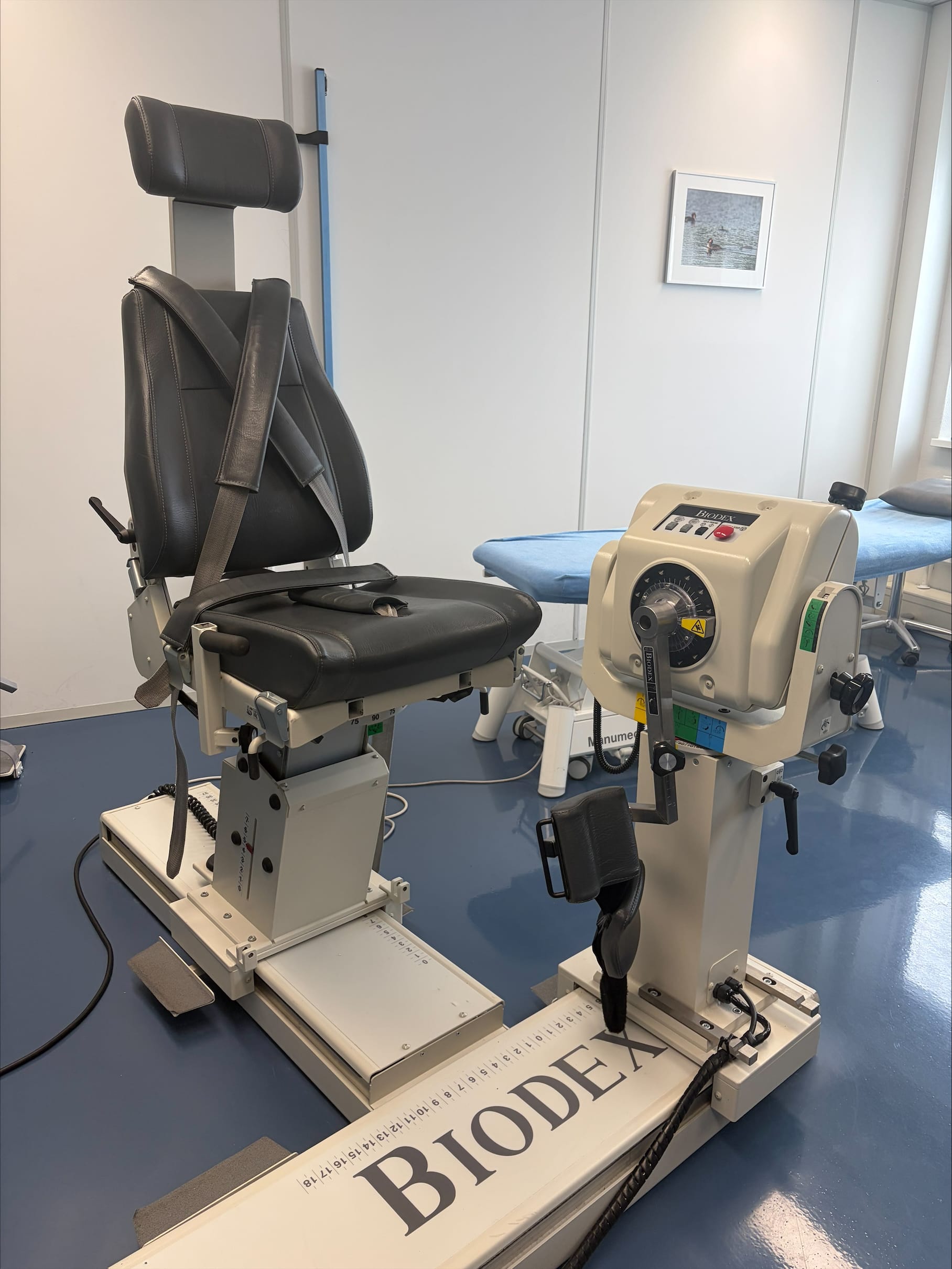 Biodex-test